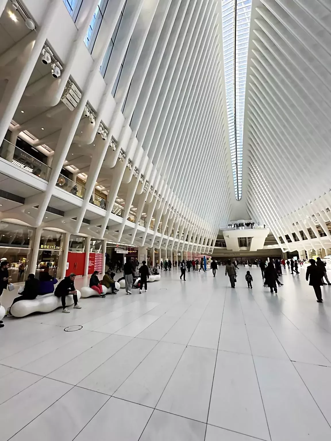 The Oculus NYC